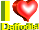 I Love Daffodils