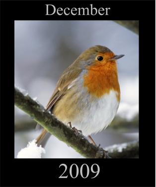 The GoE December Newsletter 2009