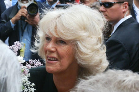 Queen Consort uses Energy Tapping for Fear of Flying