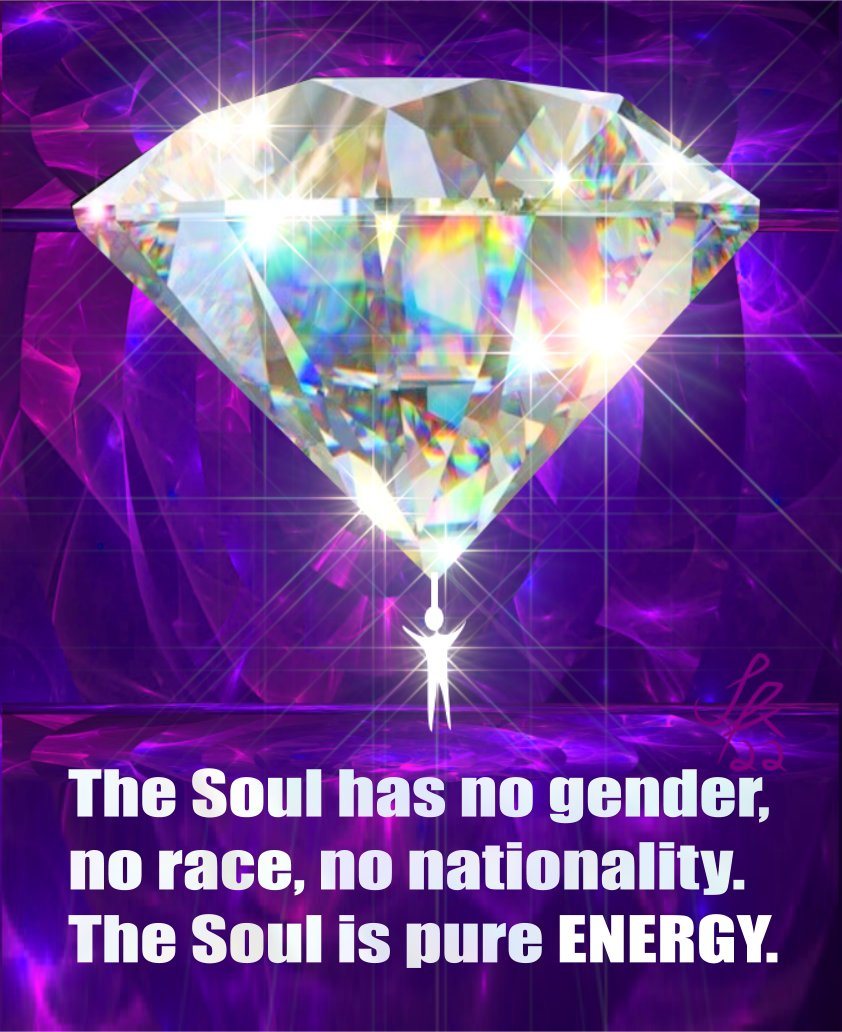 The Soul has no gender, no race meme 23