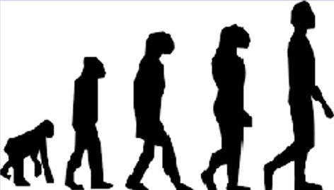 Darwinian Monkey Man Form