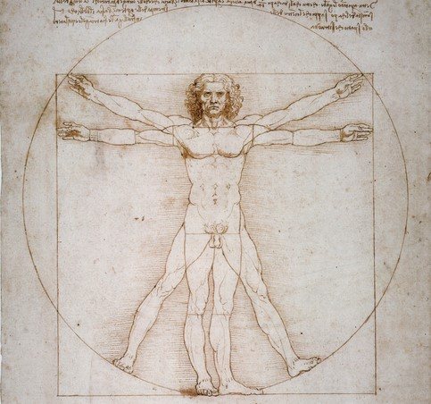 Vitruvian Man Michaelangelo Classic Human Goal